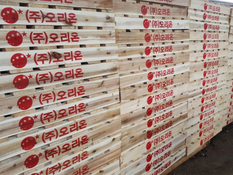 Pallet Gỗ 14