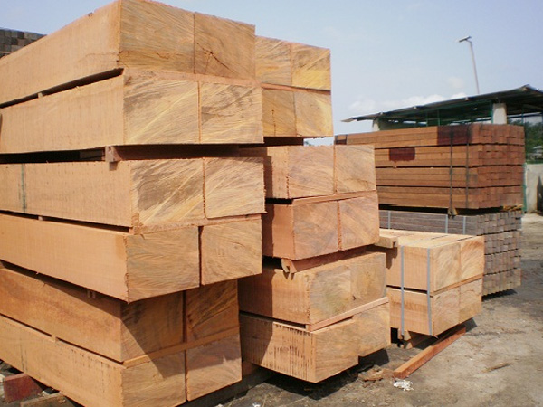 Nâng tầm sản xuất với gỗ cưa xẻ quy cách chuẩn